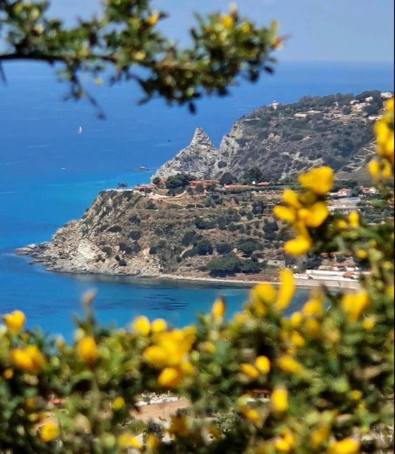 Il Giardino Di Capo Vaticano B&B And Apartments ภายนอก รูปภาพ
