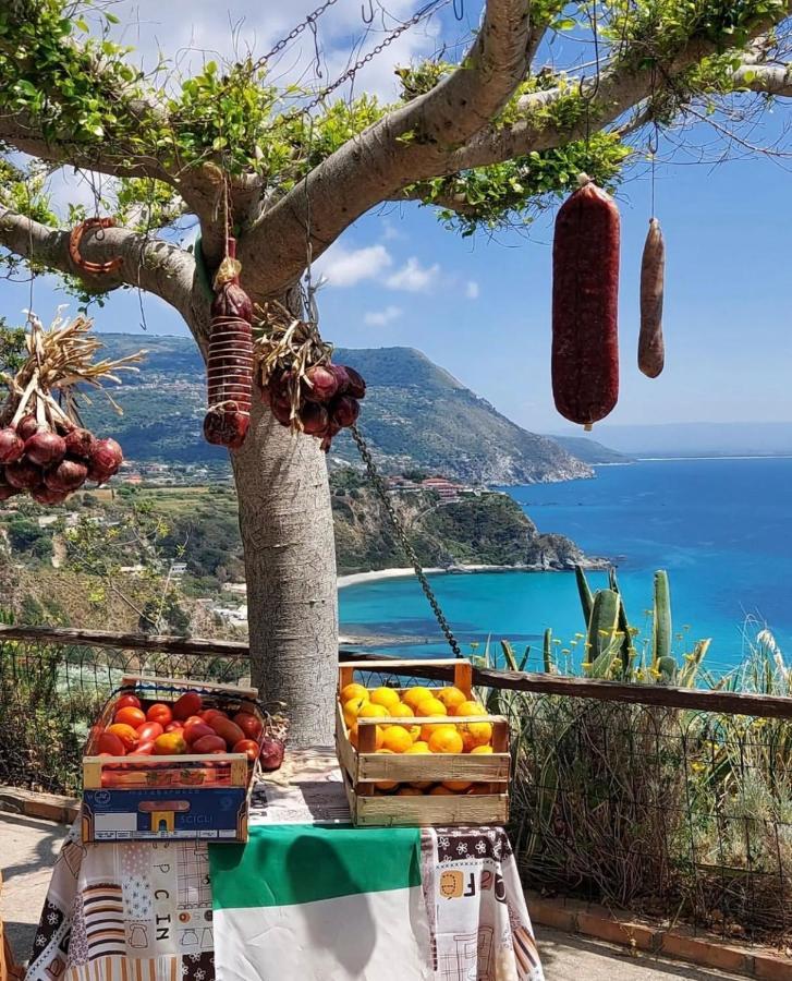 Il Giardino Di Capo Vaticano B&B And Apartments ภายนอก รูปภาพ