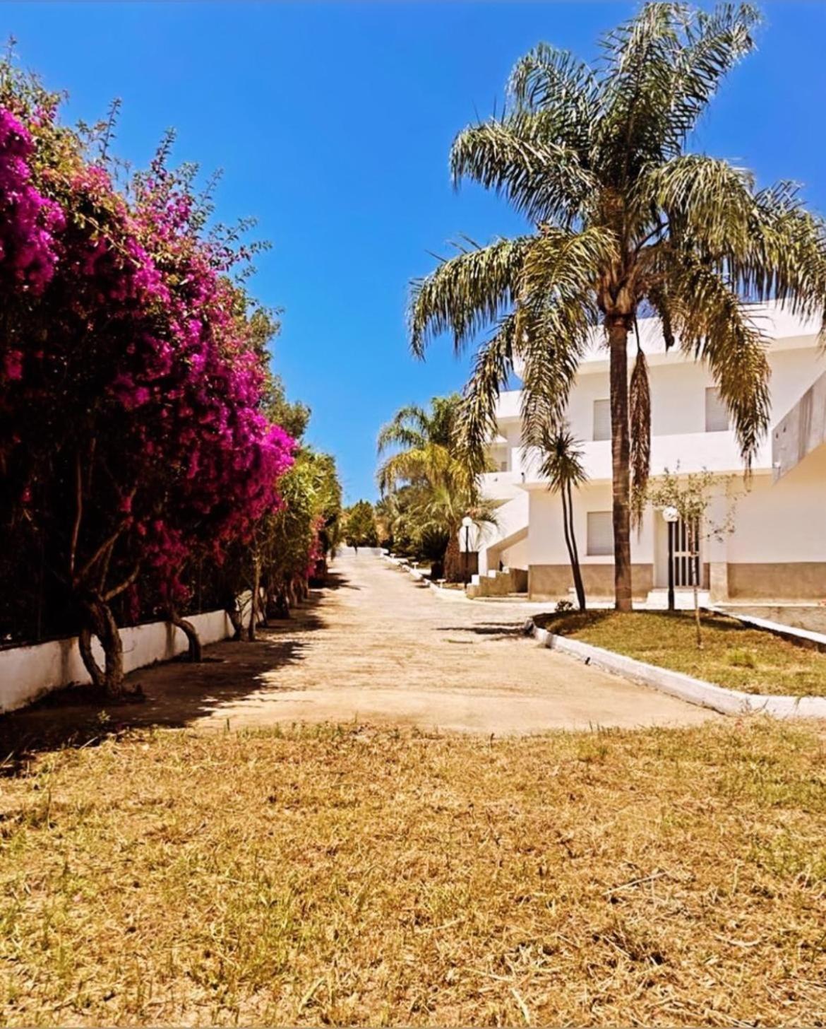 Il Giardino Di Capo Vaticano B&B And Apartments ภายนอก รูปภาพ