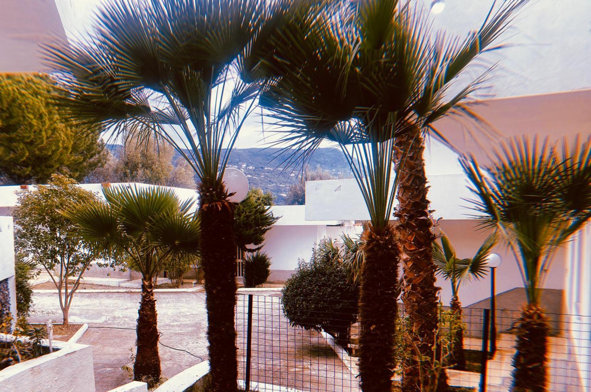 Il Giardino Di Capo Vaticano B&B And Apartments ภายนอก รูปภาพ